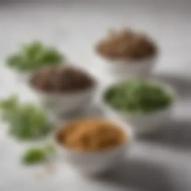 An assortment of dried basil varieties displayed in small bowls.