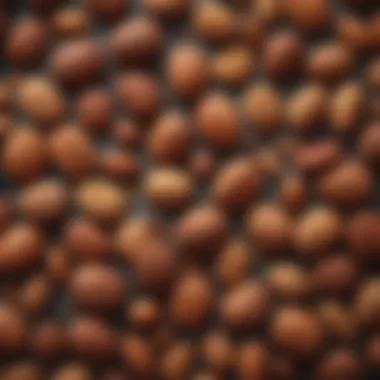 Nuts and Seeds for Keto Lifestyle A variety of nuts and seeds that complement a keto lifestyle