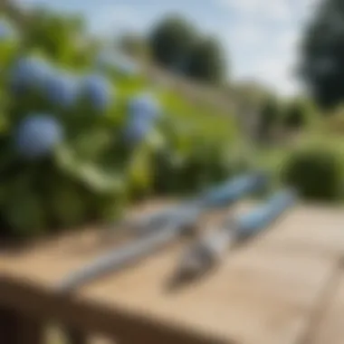 Essential Pruning Tools for Hydrangeas Close-up of hydrangea pruning shears on a garden bench