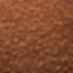 A close-up view of turbinado sugar crystals showcasing their unique texture and color.