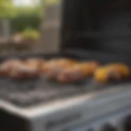 Illustration of BTU measurement on a gas grill