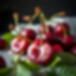 Understanding Cherry Seasonality: A Comprehensive Guide Introduction