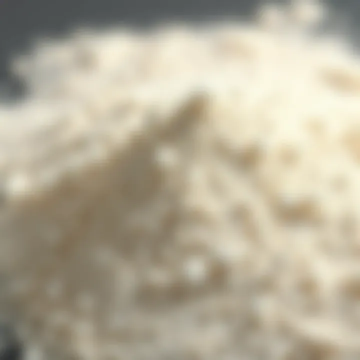 The Unique Texture of Gelatin Powder Textural representation of gelatin powder showcasing its granules and consistency