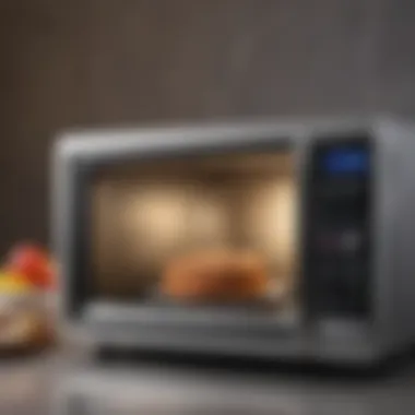 Comparison of different microwave sizes