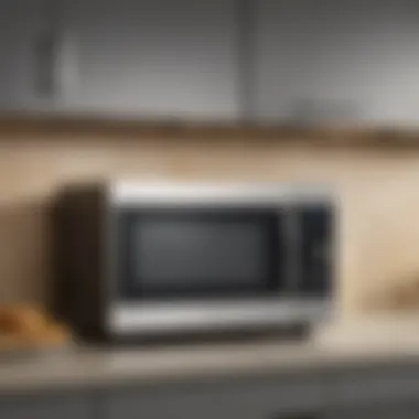 Illustration showcasing a mid-sized over the range microwave