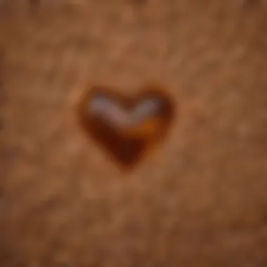 The Heart of Scotch: Barley Grains A rich array of barley grains, the primary ingredient in Scotch whisky.