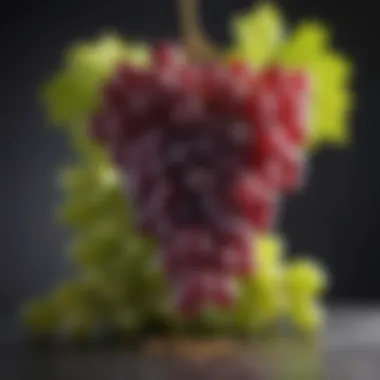 Quality Grapes from Renowned Regions Grapes from a renowned champagne region, showcasing quality ingredients
