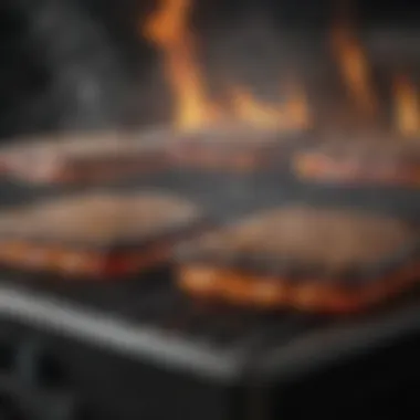 Temperature Control: The Impact of Grill Lids Graph illustrating temperature fluctuations with and without a grill lid